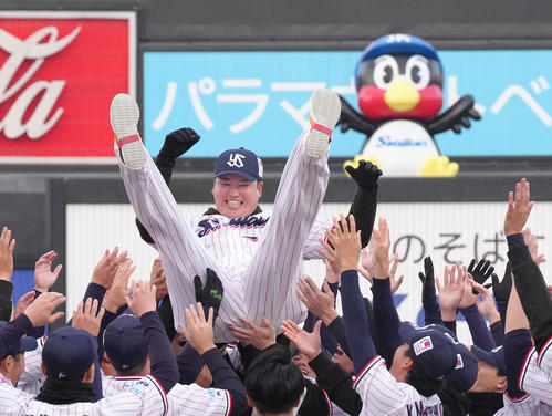 胴上げされるヤクルト村上（撮影・足立雅史）
