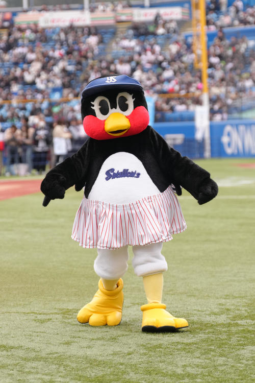 ヤクルトファン感謝DAY2025に臨むつばみ（撮影・足立雅史）