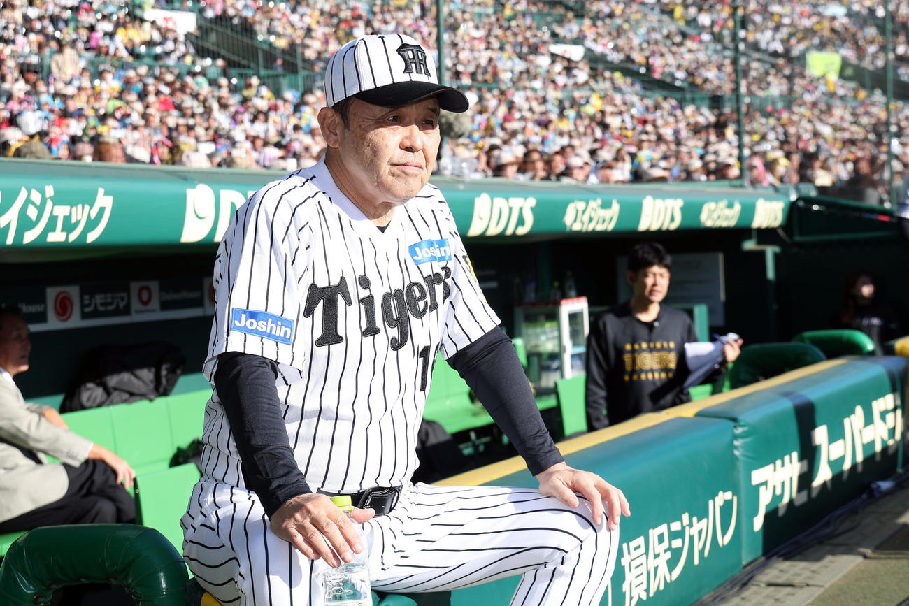 ファン感謝デーに参加した阪神岡田オーナー付顧問（撮影・前田充）