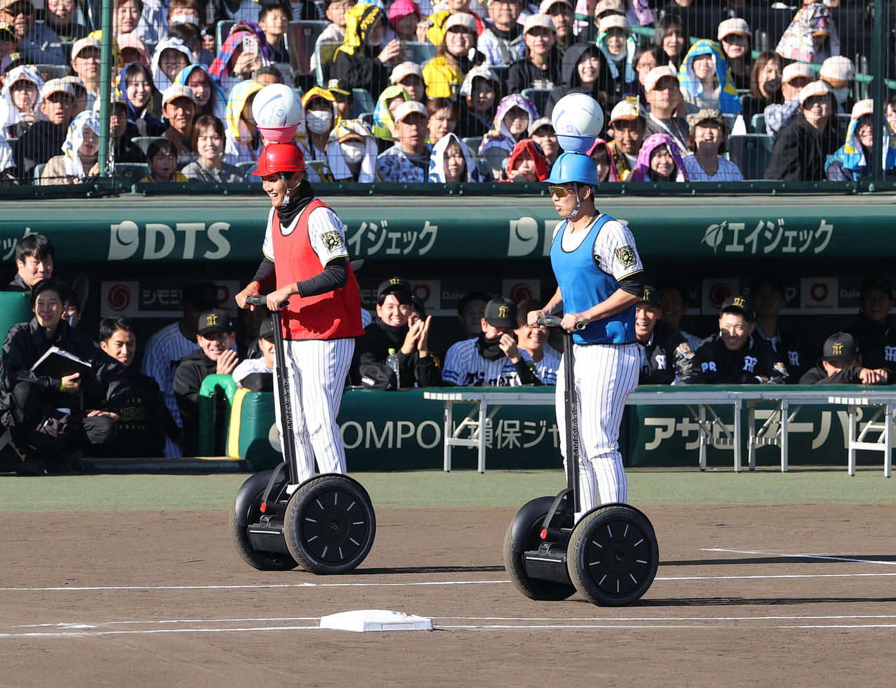 セグウェイリレーする阪神西純（左）と畠（撮影・上山淳一）