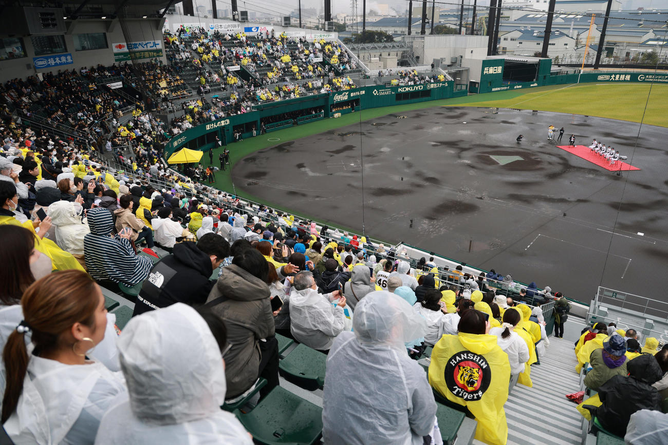 尼崎市阪神タイガース2025年優勝報告会に大勢のファンが詰めかけた（撮影・上田博志）
