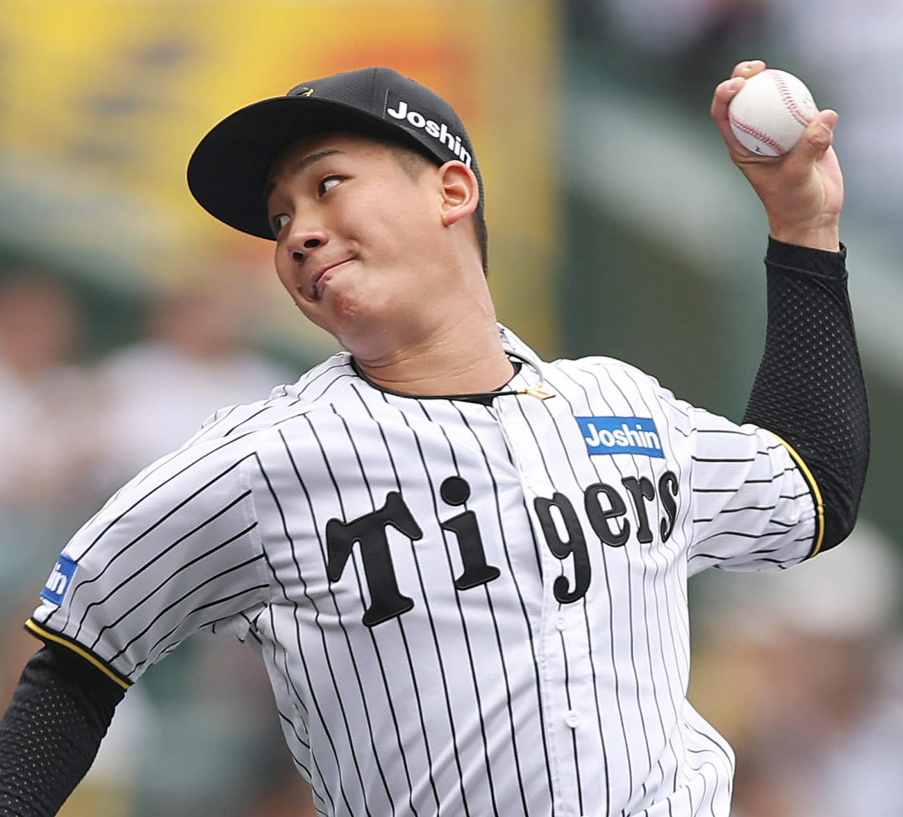 阪神伊原陵人（2025年9月撮影）