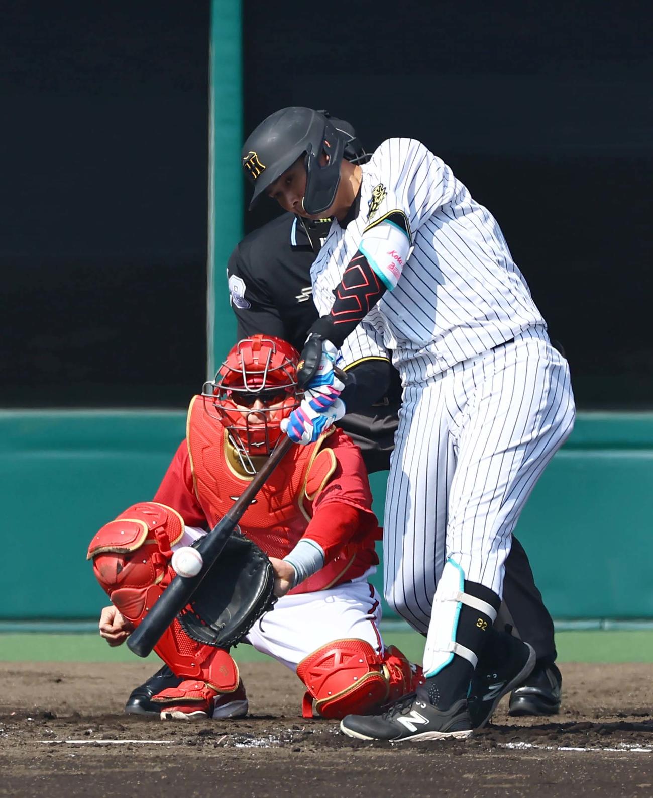 井上広大（2025年3月撮影）