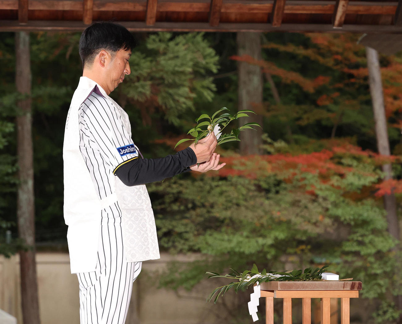 西宮市の廣田神社で参拝の藤川監督は玉ぐしを奉納する（撮影・上山淳一）