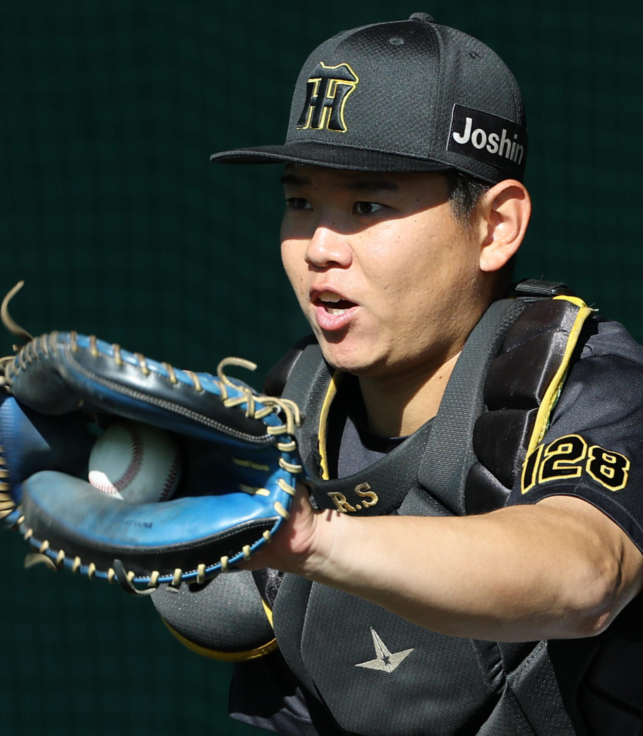 嶋村麟士朗（25年11月17日撮影）