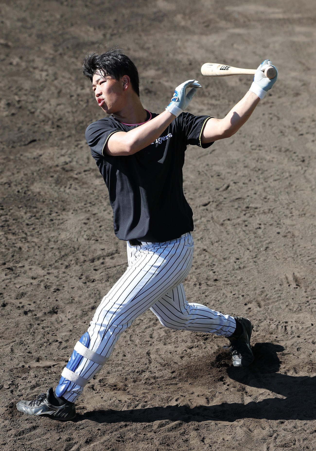 打撃練習を行う阪神百崎（2025年11月17日撮影）