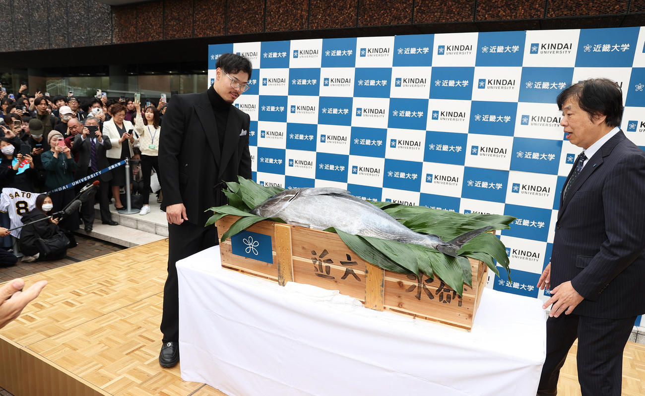 近大マグロが贈られる阪神佐藤輝明。右は近大の松村学長（撮影・上山淳一）