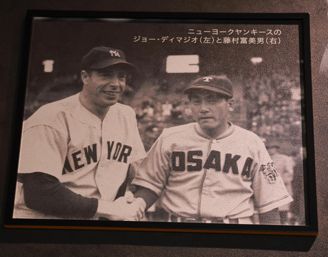 ジョー・ディマジオと藤村富美男の写真（撮影・上田博志）＝2025年12月4日、甲子園球場