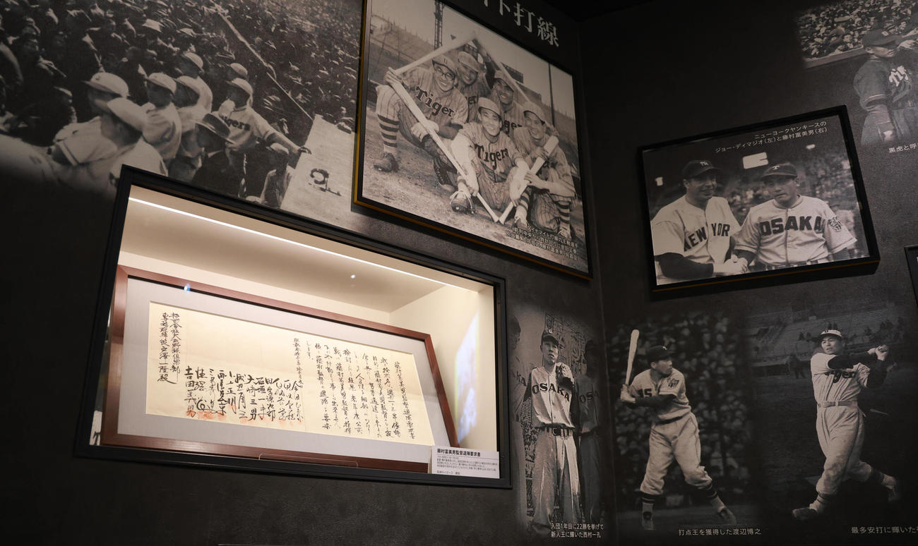 甲子園歴史館で展示が始まった藤村富美男監督退陣要求書（撮影・上田博志）