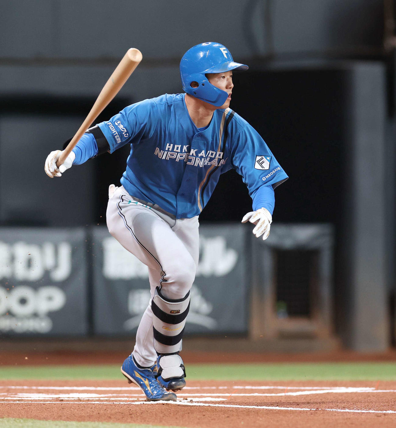 日本ハム石井一成（25年10月撮影）