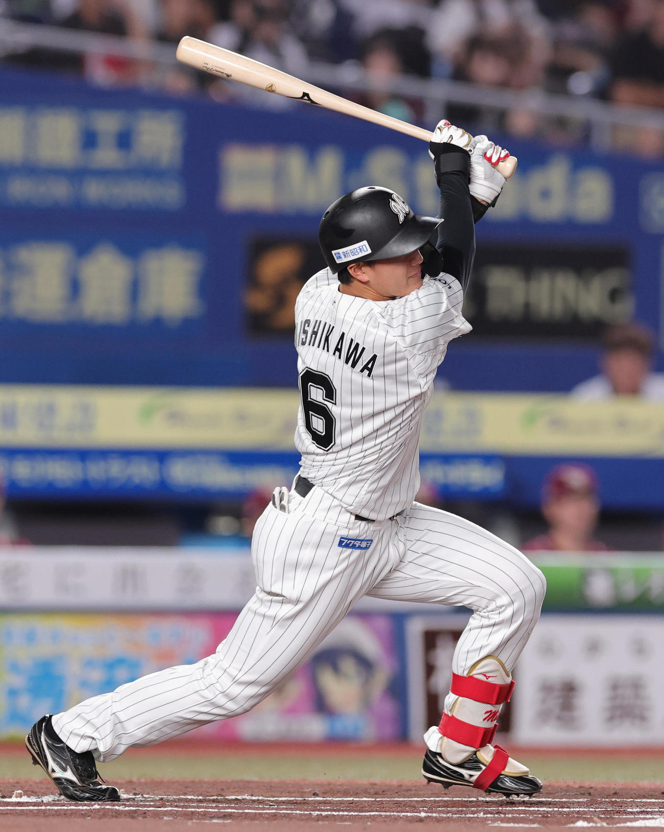 ロッテ西川史礁（2025年9月撮影）