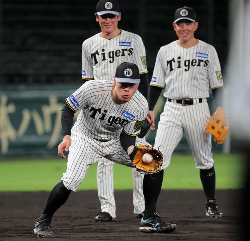 阪神】今季GG賞獲得の佐藤輝明、新技術詰まったグラブで来季に臨む