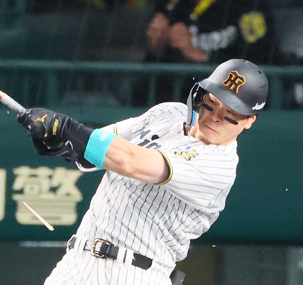 阪神佐藤輝明（2025年撮影）