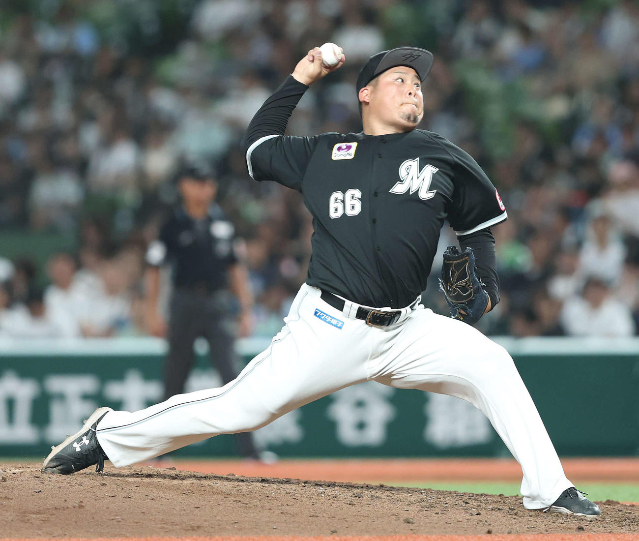 ロッテ沢田（9月5日撮影・河田真司）