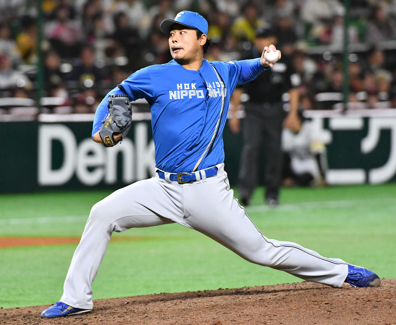 日本ハム松浦慶斗（2025年3月15日撮影）