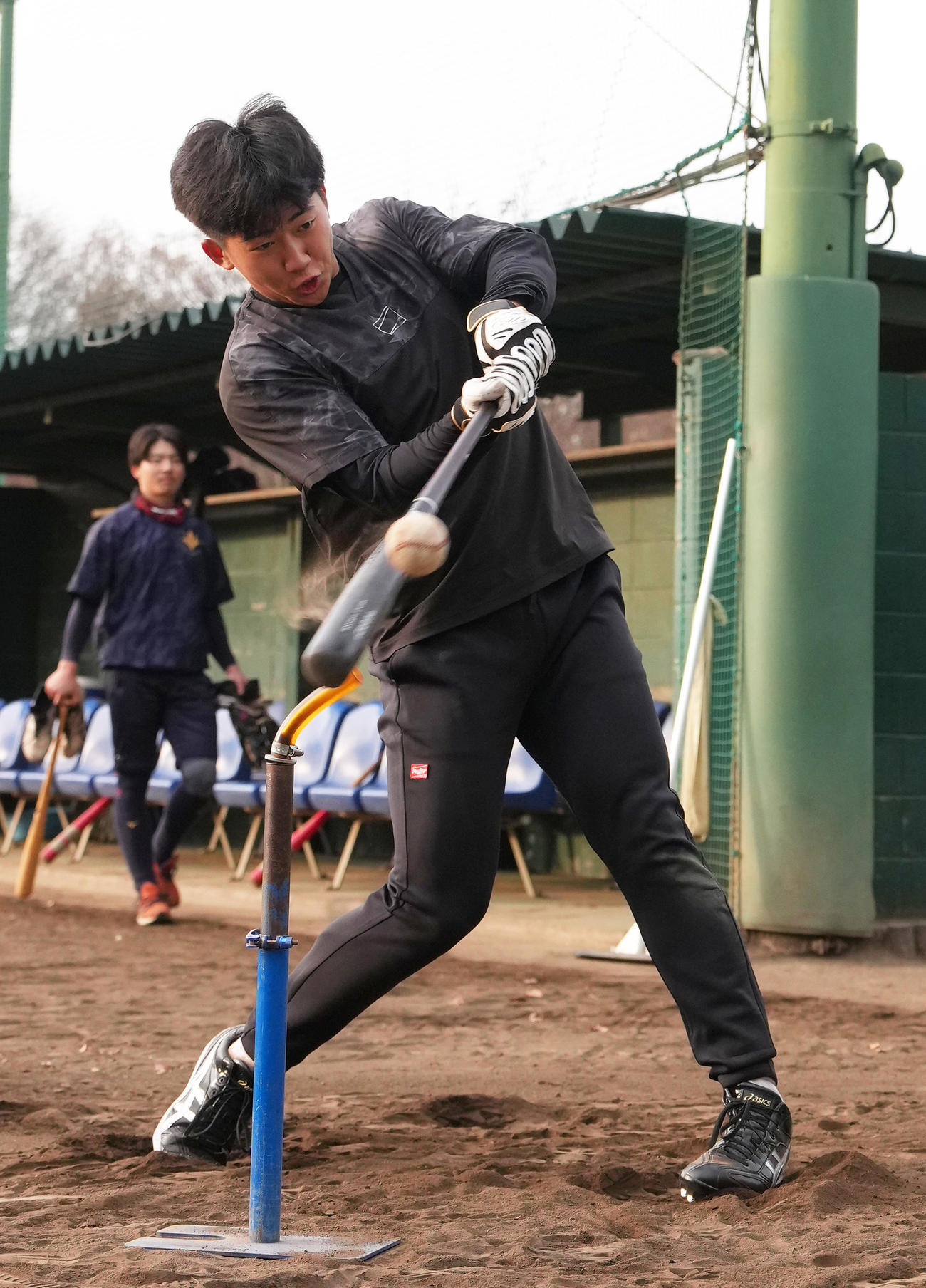 打撃練習する阪神ドラフト1位の創価大・立石（撮影・足立雅史）