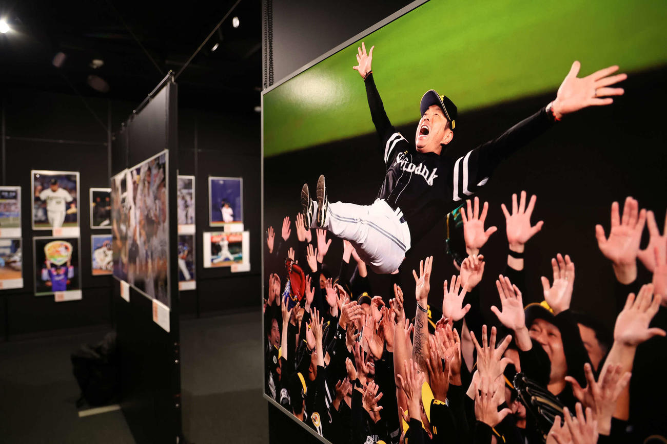 一般公開に先がけて公開された「野球報道写真展2025」（撮影・丹羽敏通）