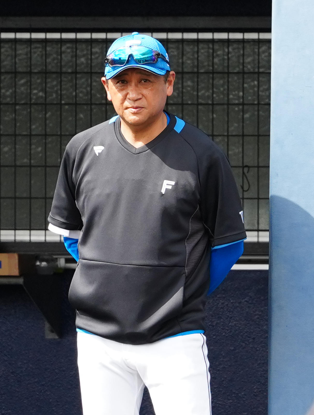 日本ハム林孝哉ヘッドコーチ（25年2月16日撮影）