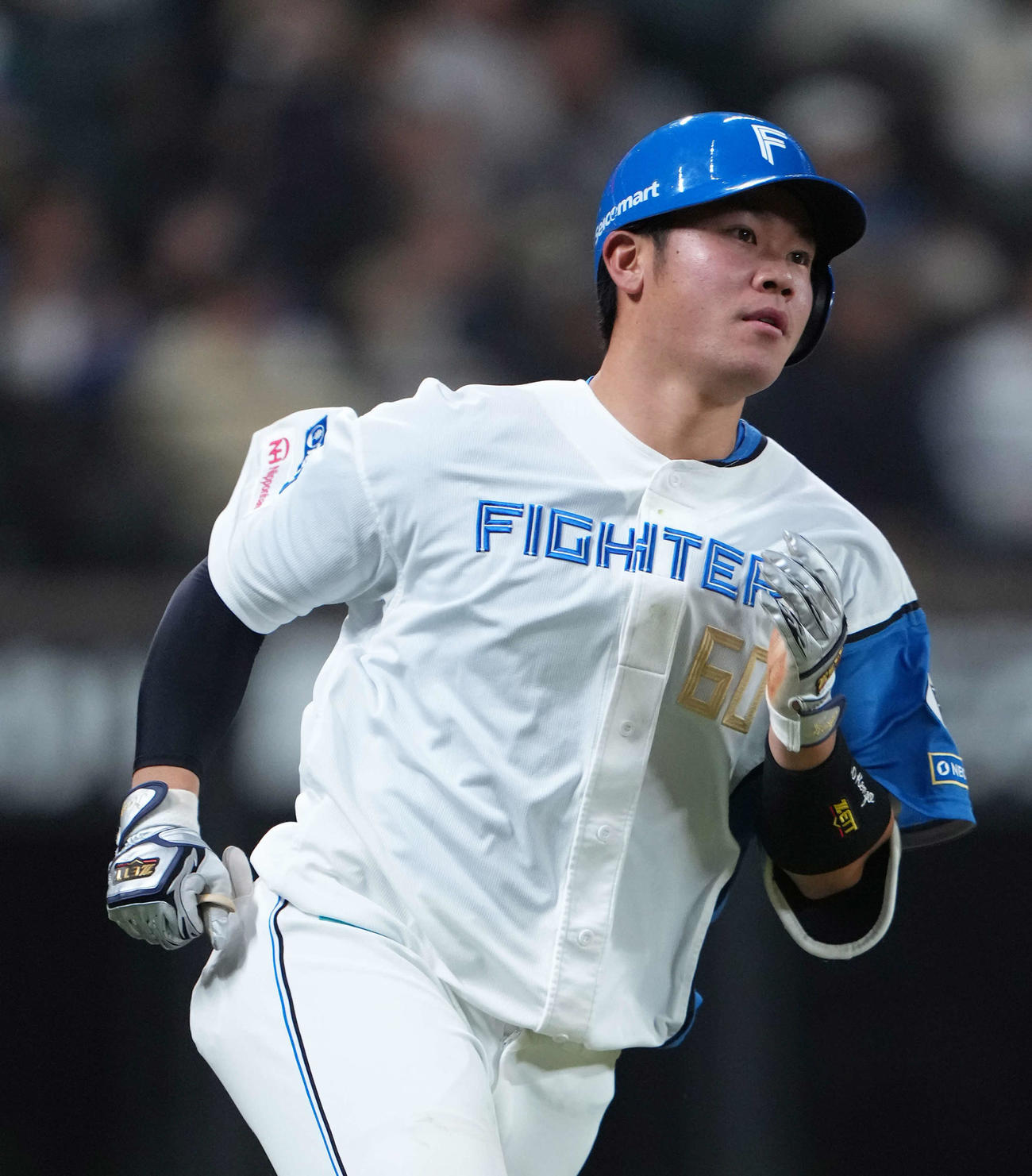 日本ハム吉田賢吾（25年4月4日撮影）