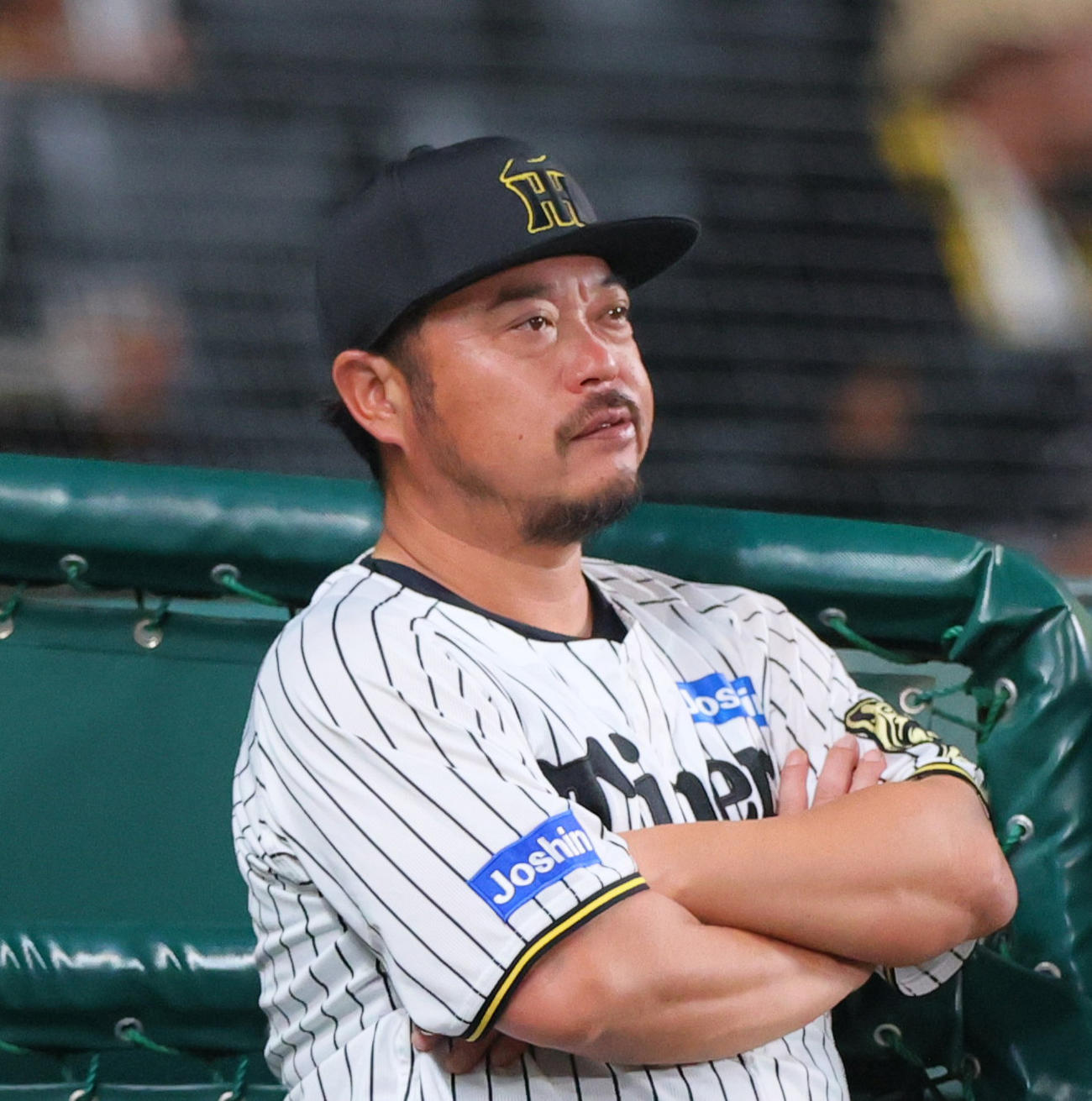 阪神小谷野打撃チーフコーチ（2025年撮影）