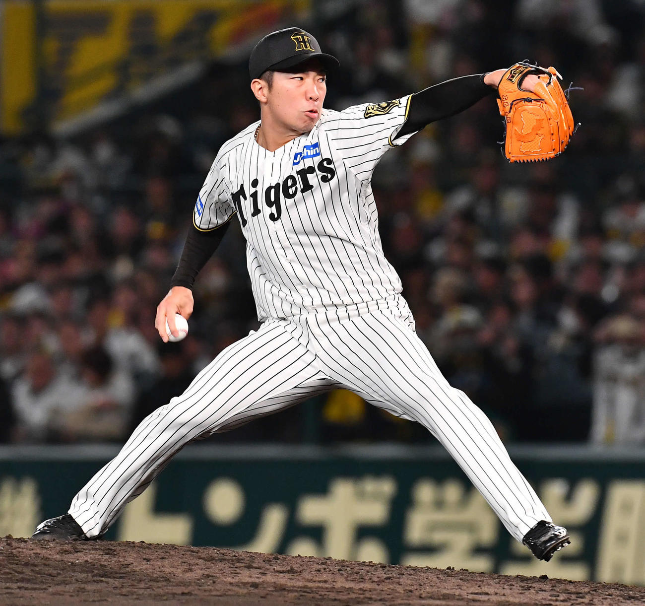 阪神石井大智（2025年10月撮影）