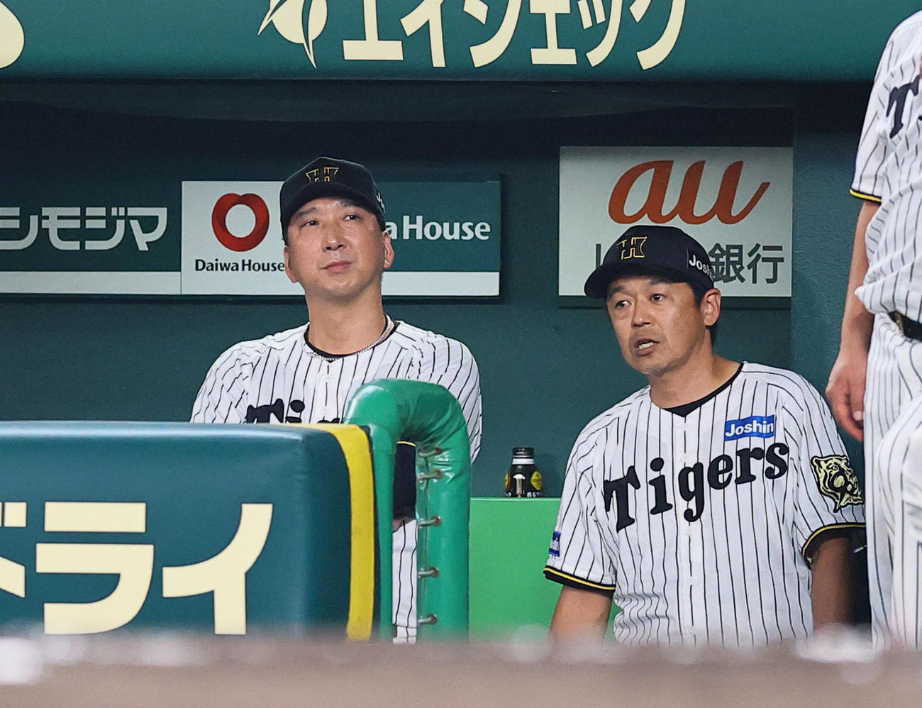 6回裏阪神無死一塁、代打高寺がバント失敗しぶぜんとする藤川監督（25年8月30日撮影）