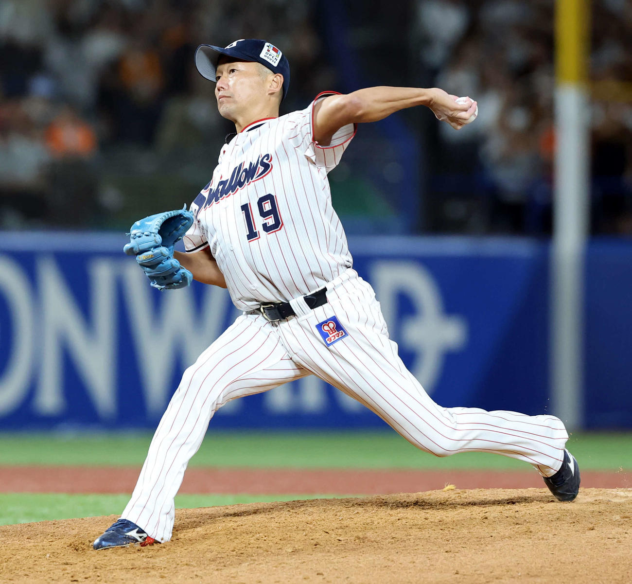 ヤクルト石川雅規（2025年9月撮影）