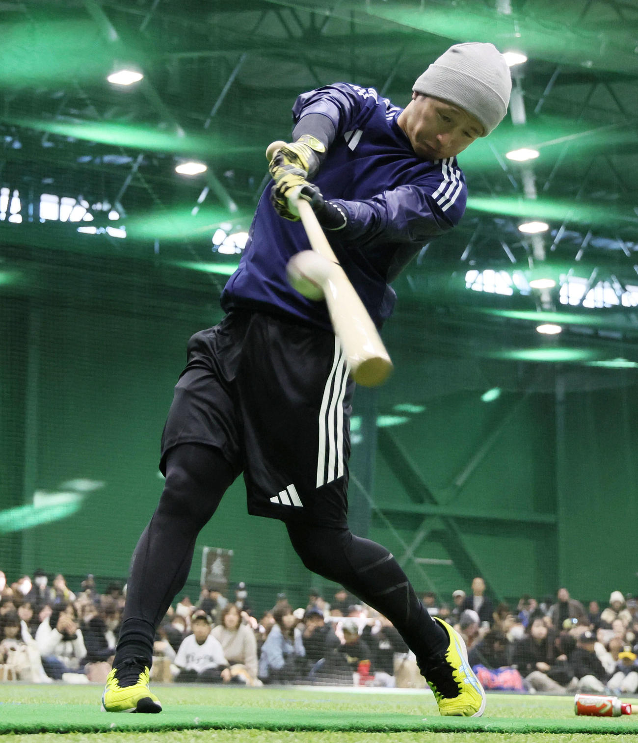 ファンを室内練習場に入れ自主トレを公開した近本（撮影・加藤哉）