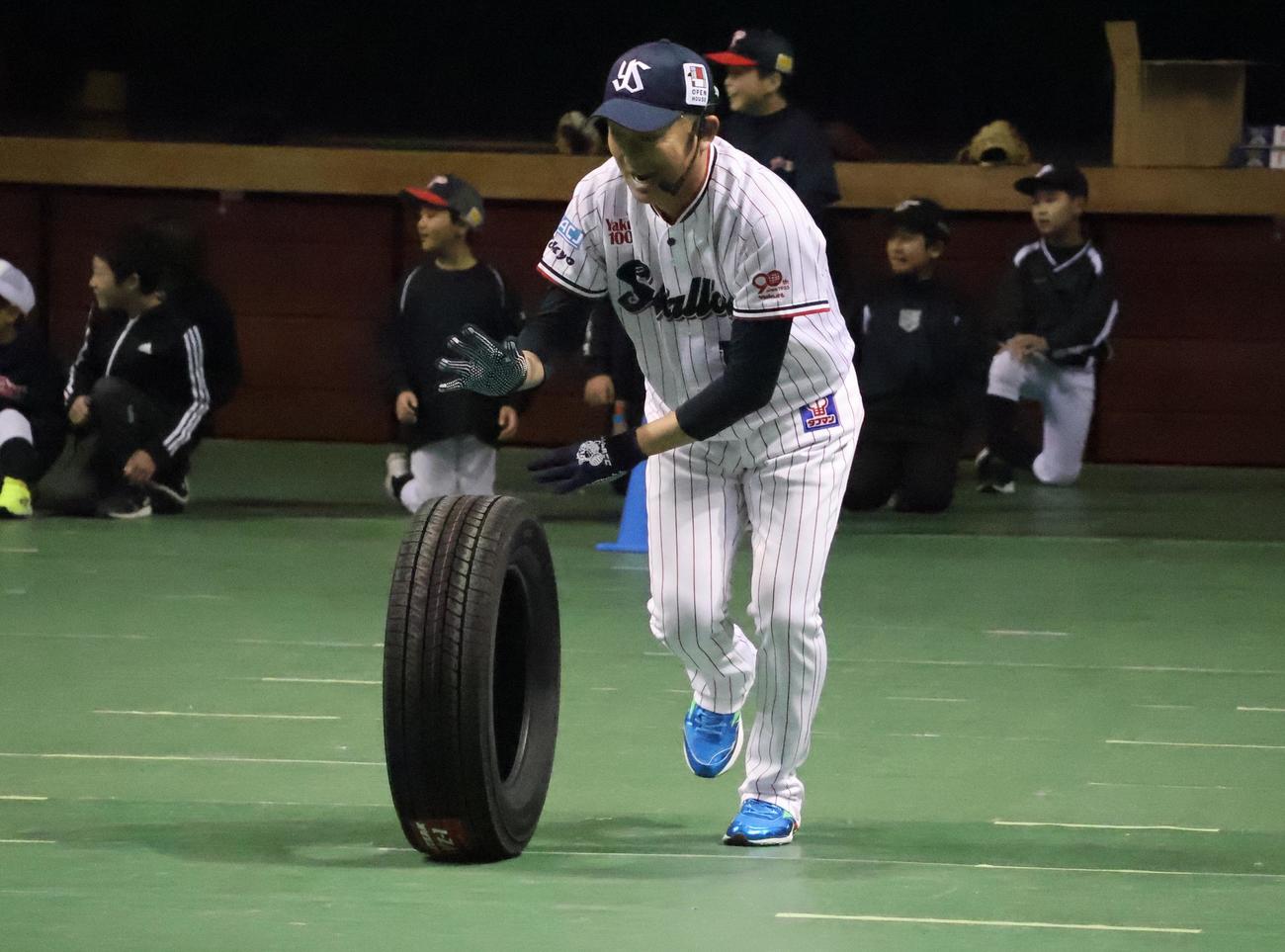 「秋田県スポーツ大使　石川雅規・石山泰稚プロデュース　プロ野球＋〇〇2026 powered by　コニシタイヤ」でタイヤを転がすヤクルト石川（撮影・塚本光）