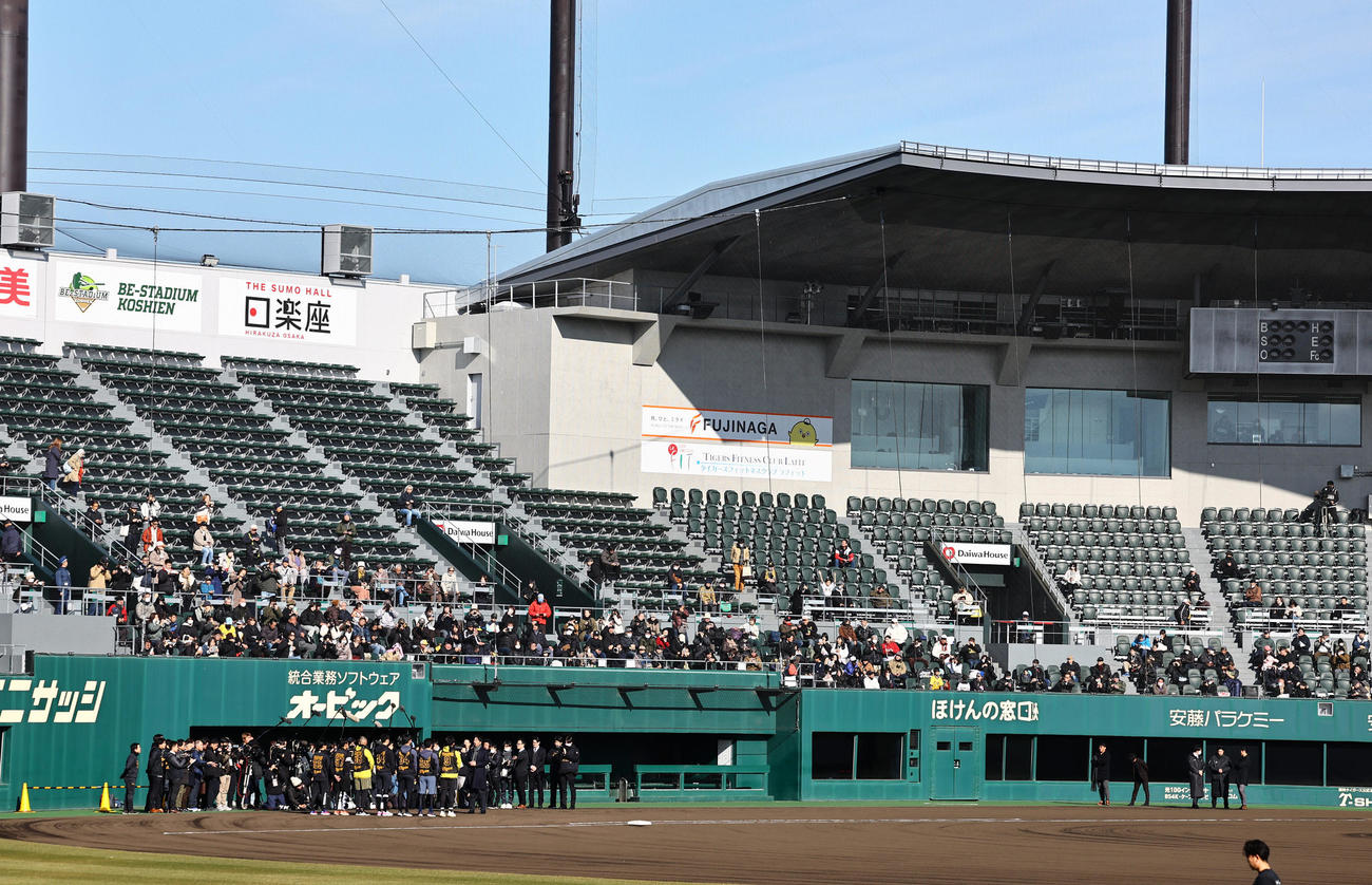 新人合同自主トレに詰めかけたファン（撮影・上田博志）