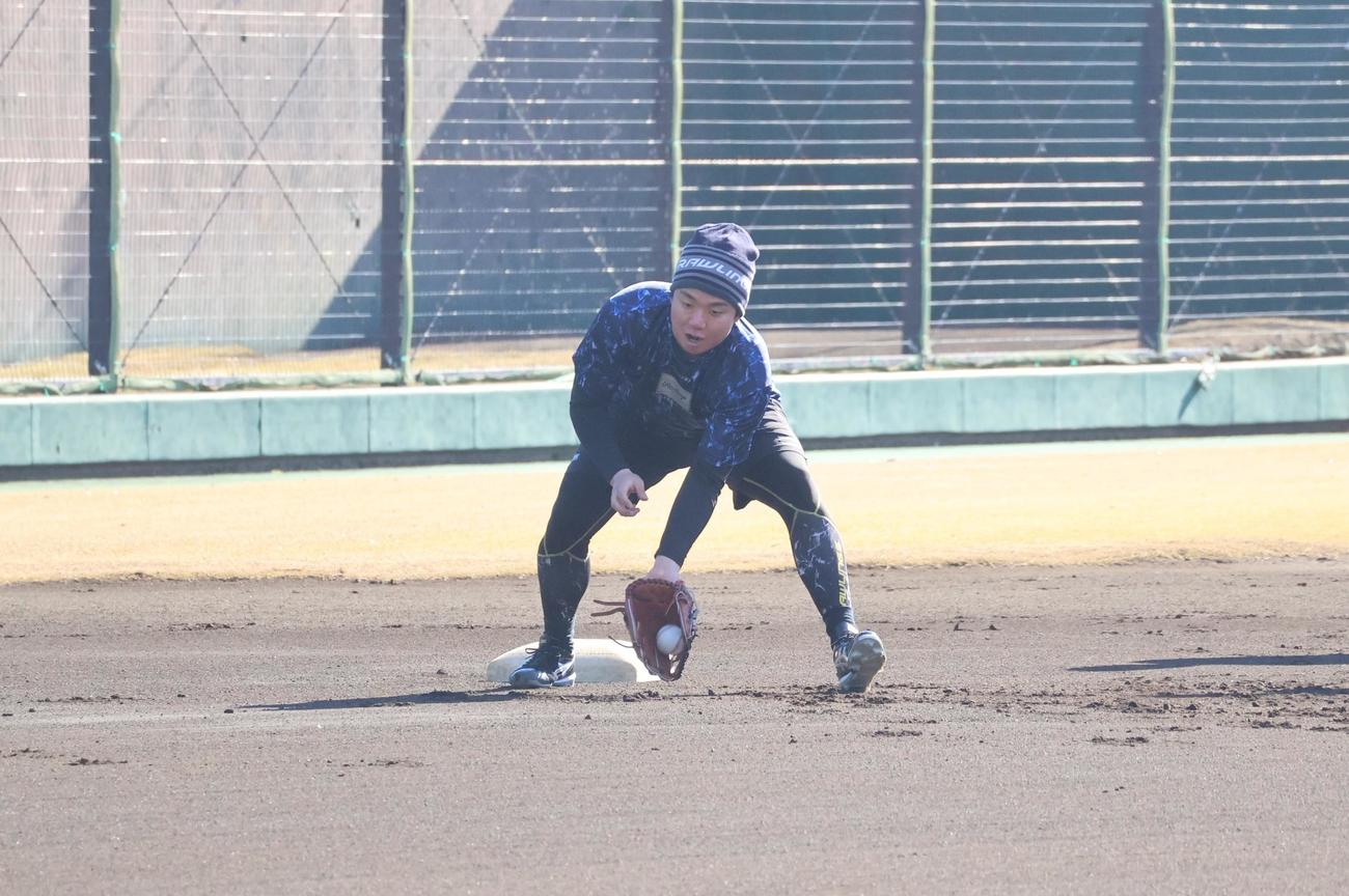 沼津での合同自主トレでゴロを捕球する阪神村上（撮影・塚本光）