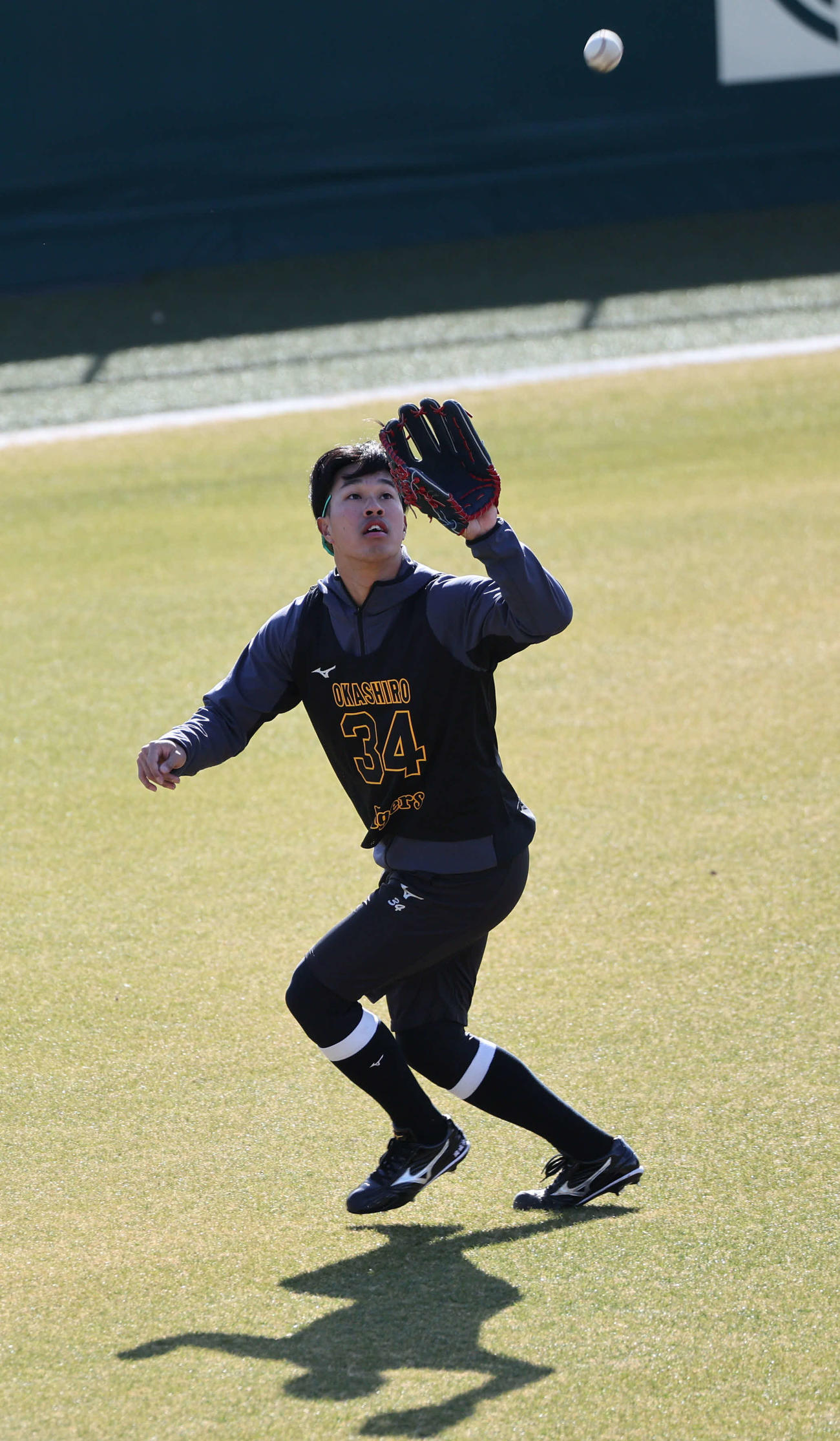 新人合同自主トレで外野ノックを受ける阪神岡城（撮影・西尾就之）