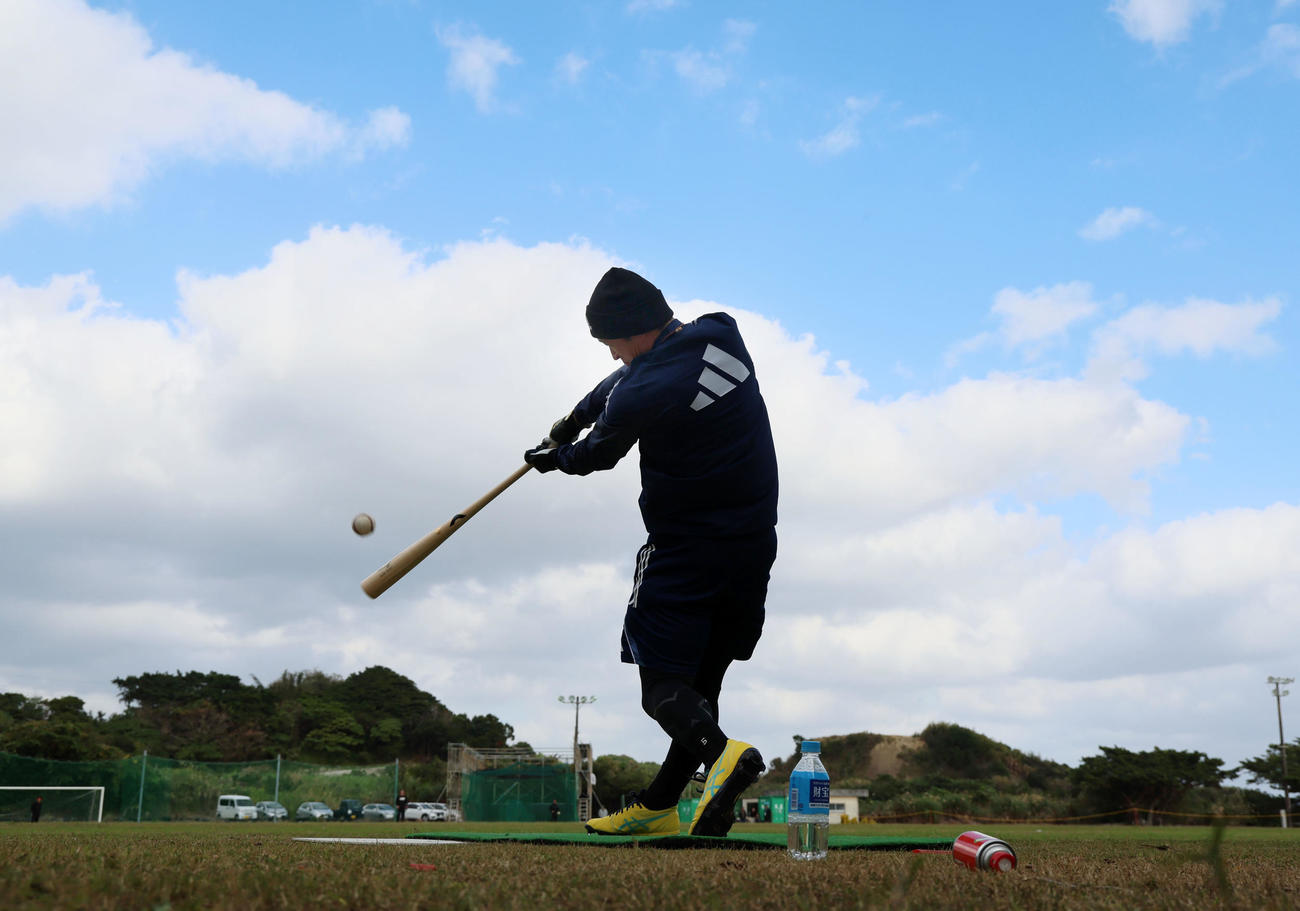 自主トレでロングティー打撃を行う阪神近本（撮影・加藤哉）