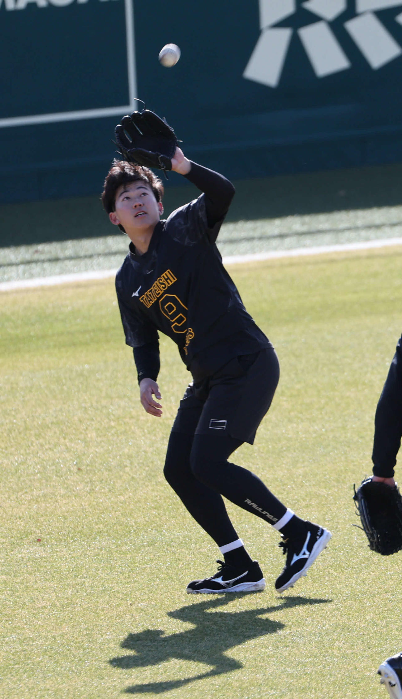 新人合同自主トレで外野ノックを受ける阪神立石（中央）（撮影・西尾就之）