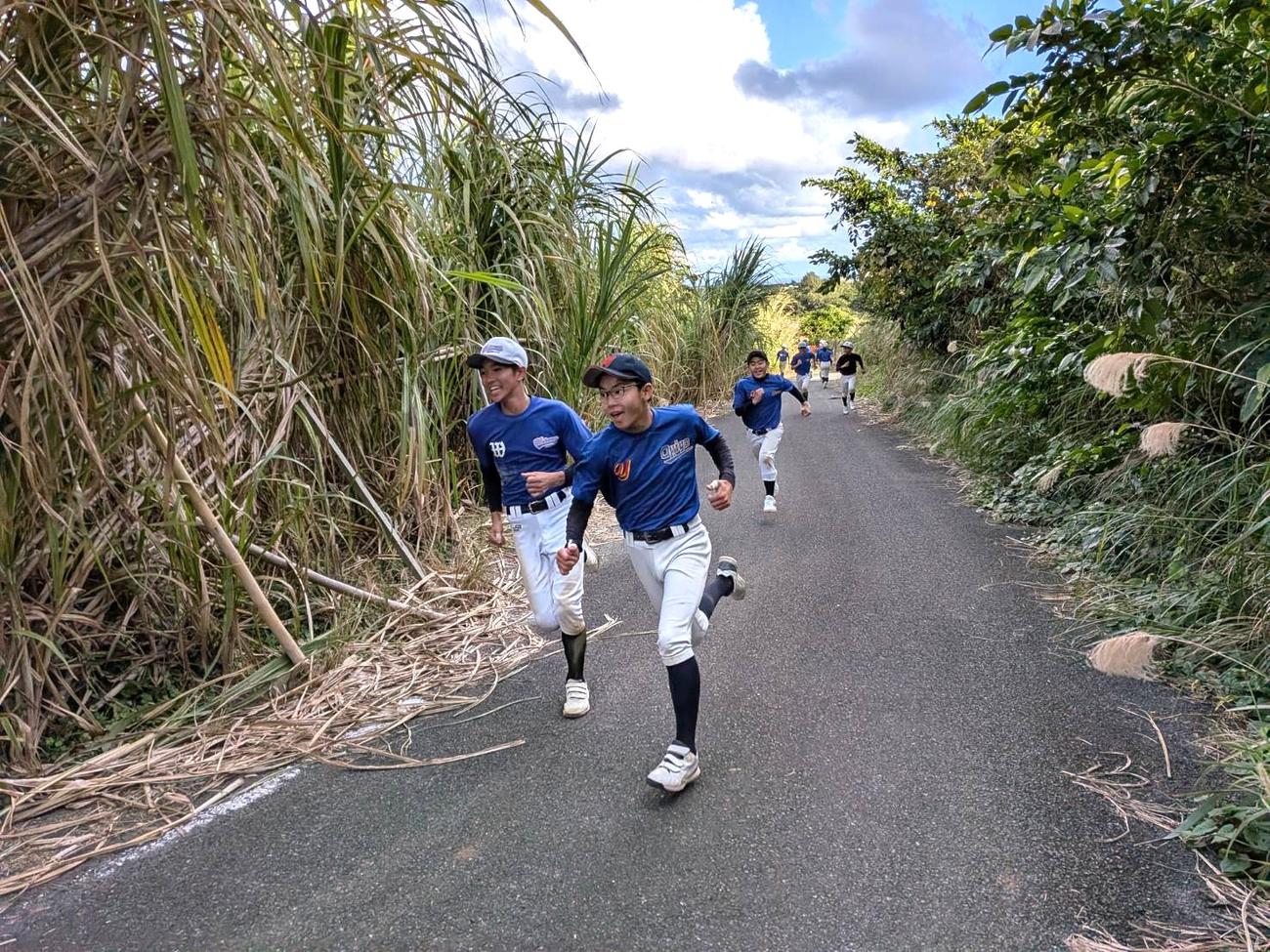 さとうきび畑の小道を疾走する沖永良部島の中学球児（撮影・柏原誠）＝