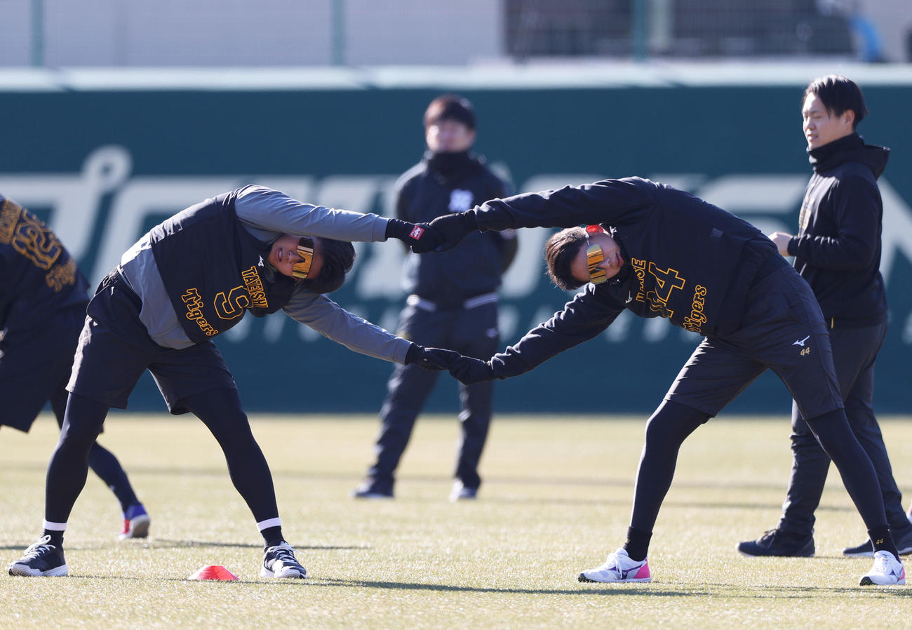 阪神新人合同自主トレに励む立石（左）と早瀬（撮影・上山淳一）