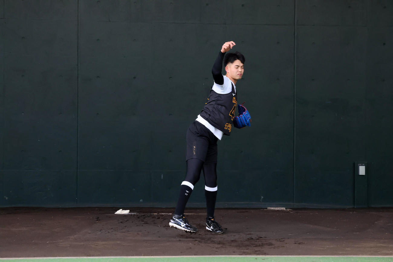 阪神早瀬は合同自主トレで初めてブルペンに入り投球練習を行った（撮影・加藤哉）