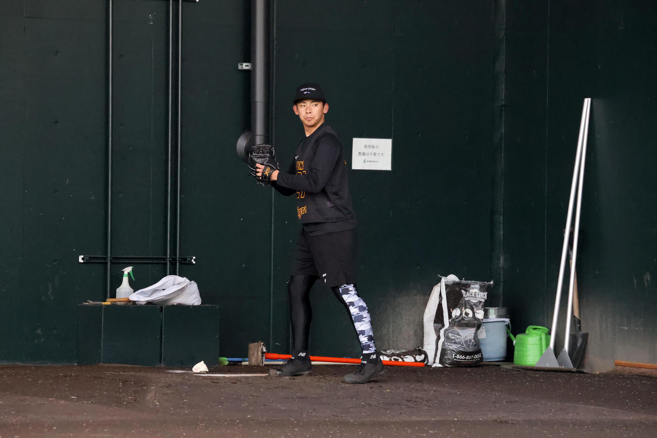 阪神能登は合同自主トレで初めてブルペンに入り投球練習を行った（撮影・加藤哉）