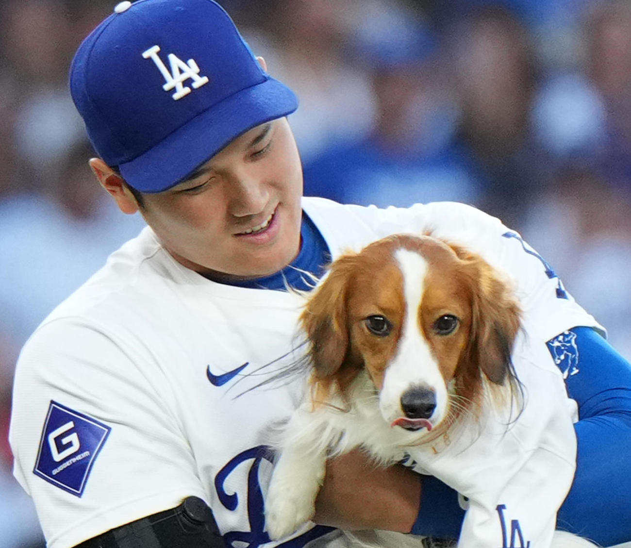 ドジャース大谷翔平と愛犬デコピン（2024年8月）