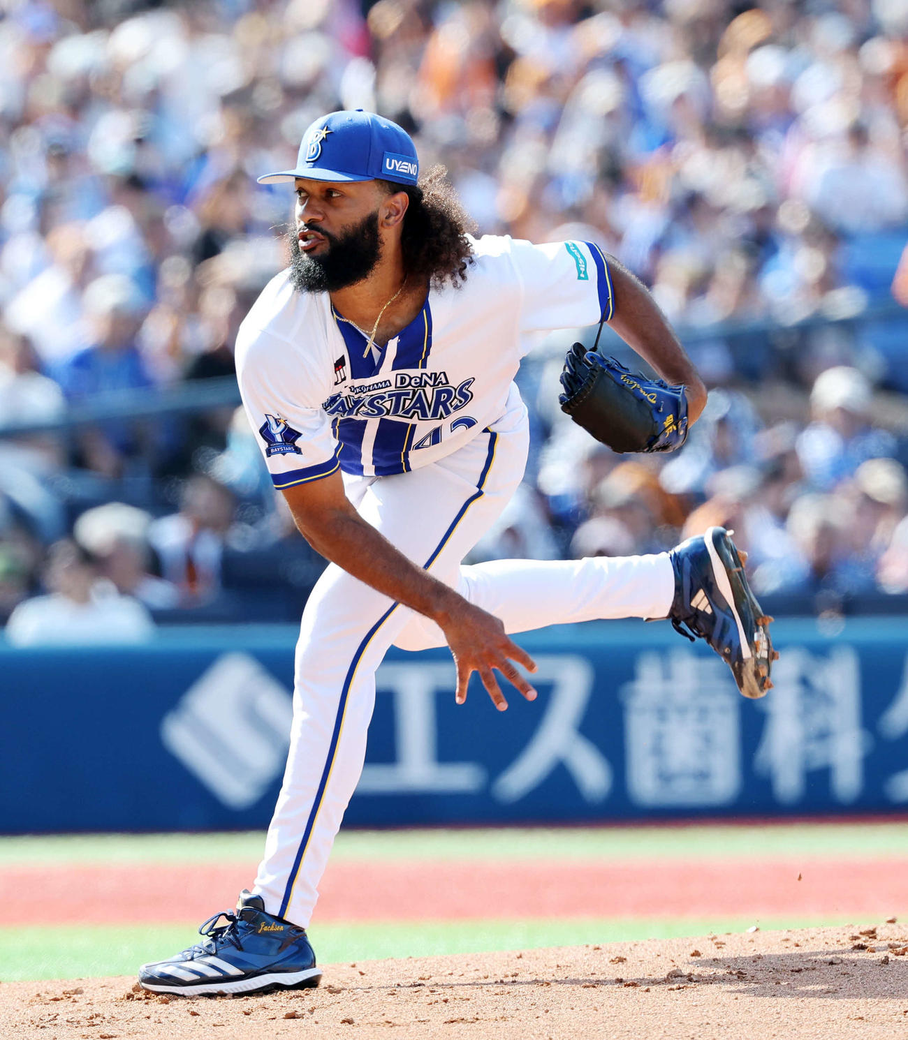 ジャクソン（2025年9月27日撮影）
