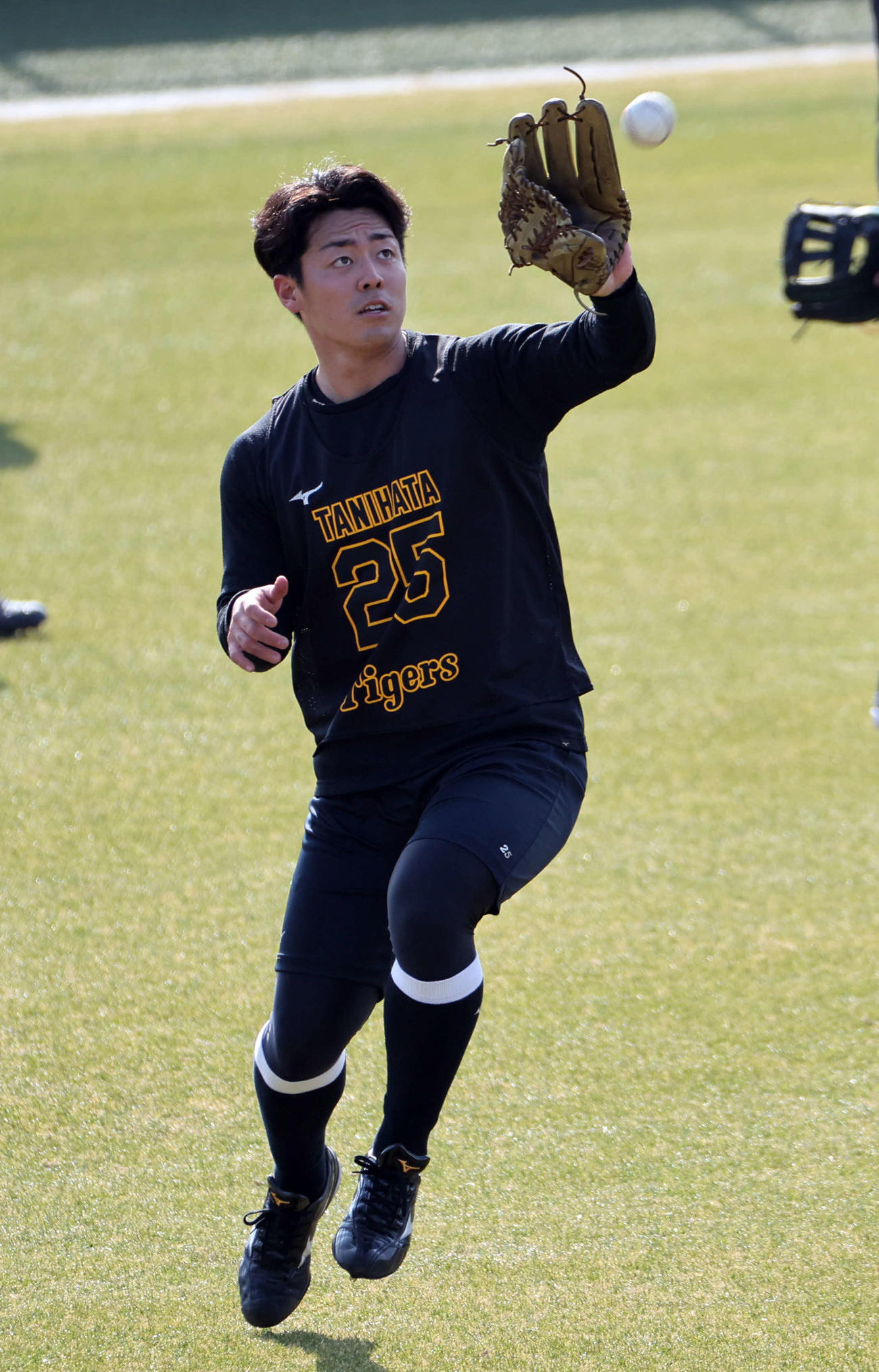 新人合同自主トレで外野ノックを受ける阪神谷端（撮影・西尾就之）