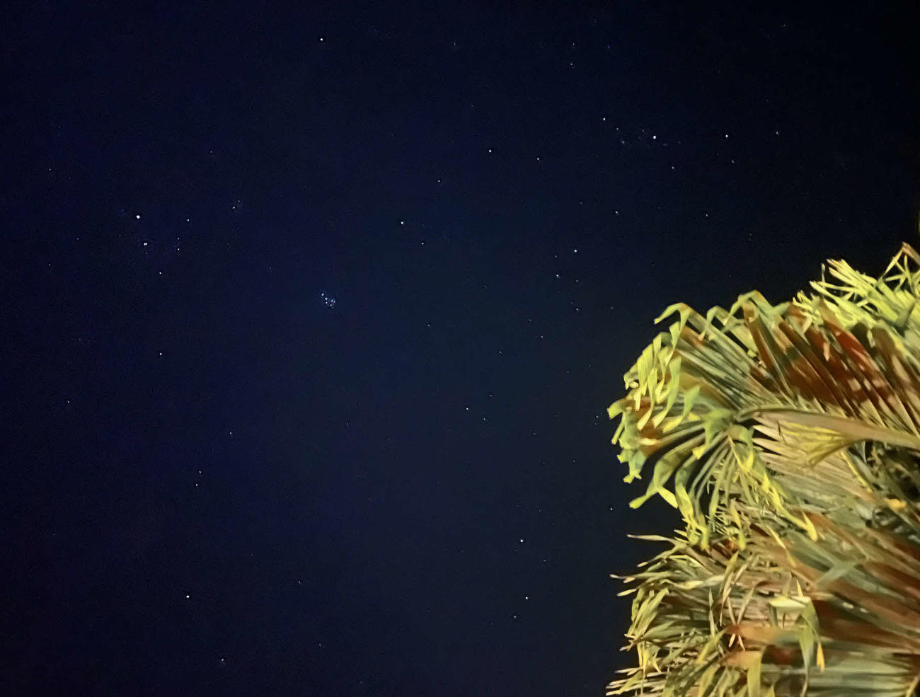 西武平良の故郷・石垣島はスマートフォンでも「すばる」を撮影できるほどの星空（撮影・金子真仁）