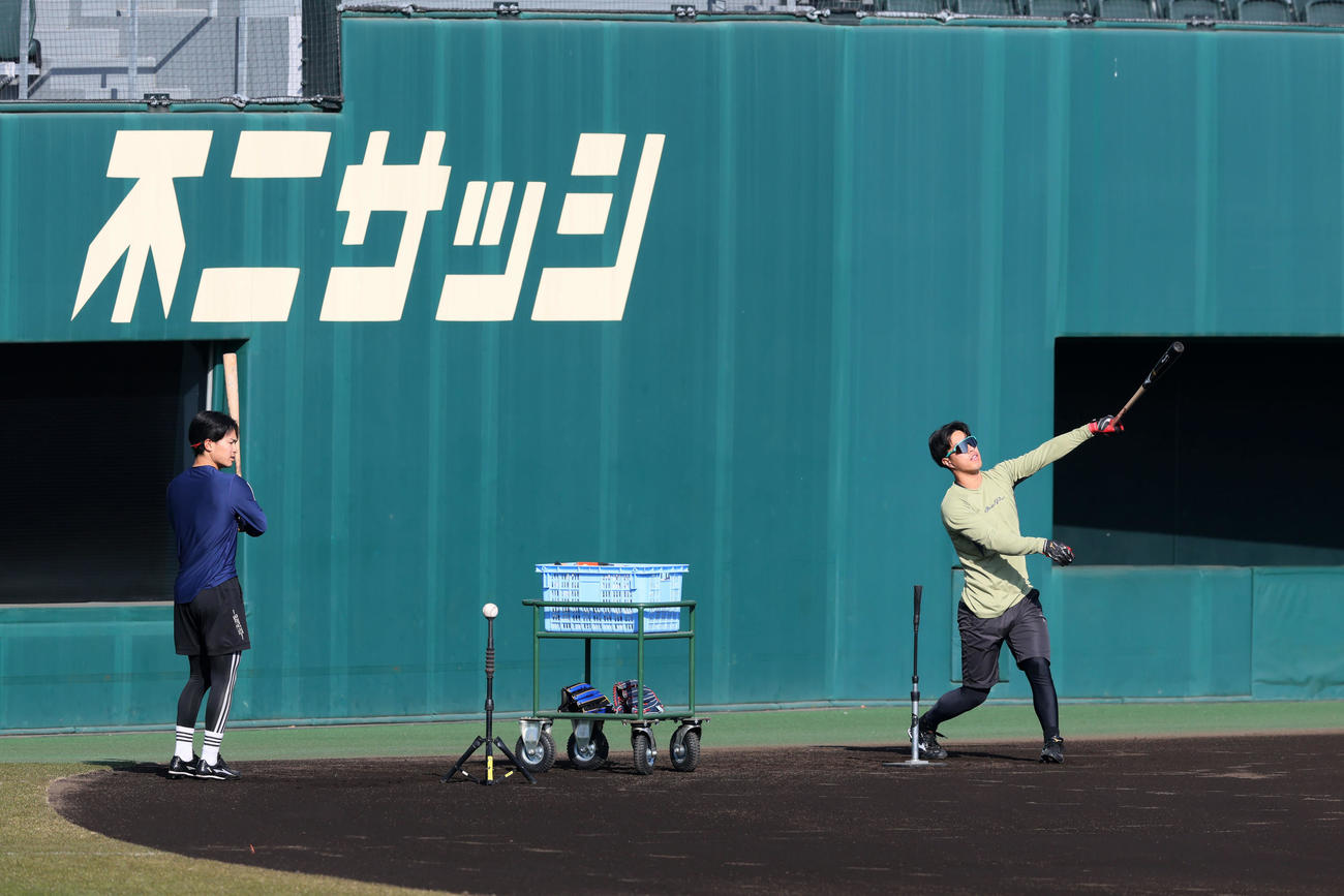 阪神山崎（左）と岡城が自主トレ休日返上でロングティー打撃を行った（撮影・加藤哉）