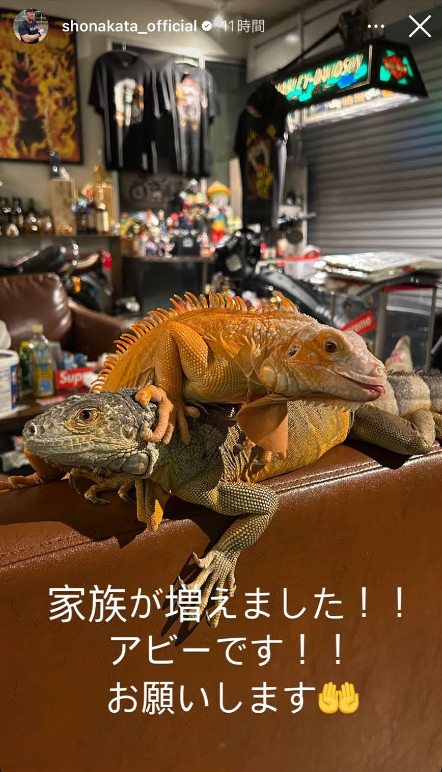中田翔氏のインスタグラムから