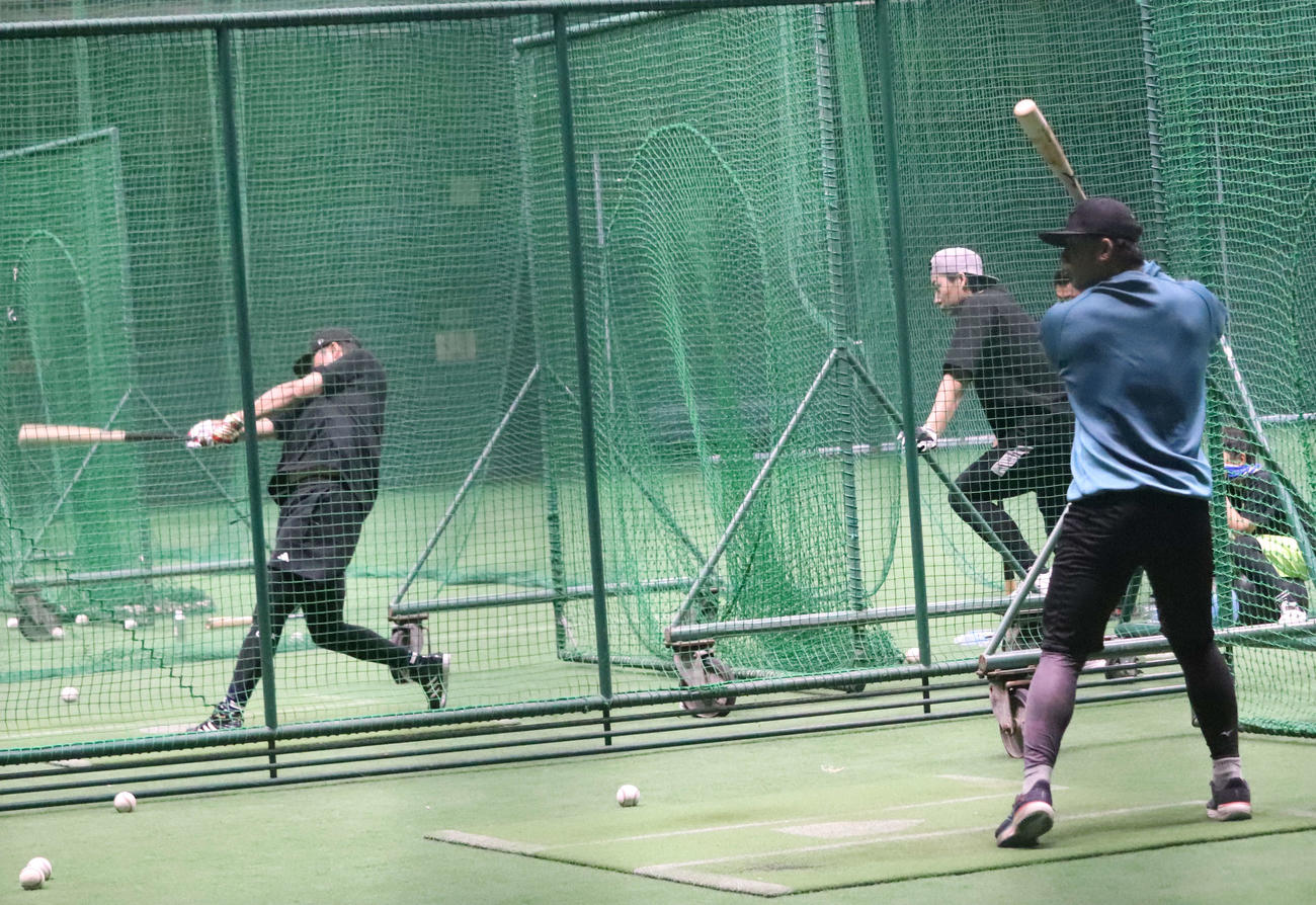 沖縄での自主トレを公開した巨人坂本勇人（左）と隣り合って打撃練習する石塚（右）（撮影・小早川宗一郎）