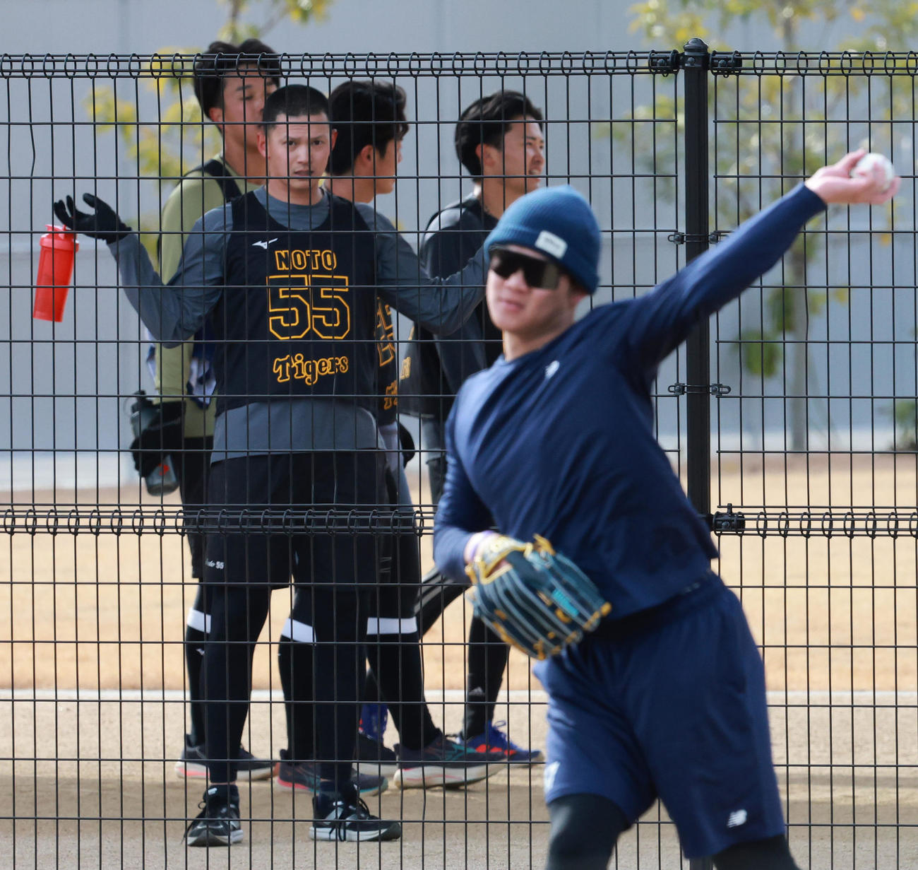 阪神及川（右）のキャッチボールを見守る新入団の能登（撮影・上田博志）