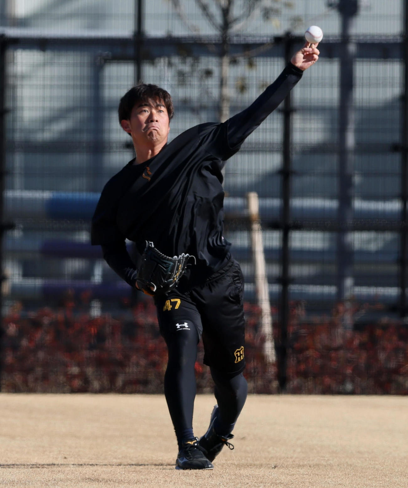 自主トレでキャッチボールする阪神桐敷（撮影・加藤哉）
