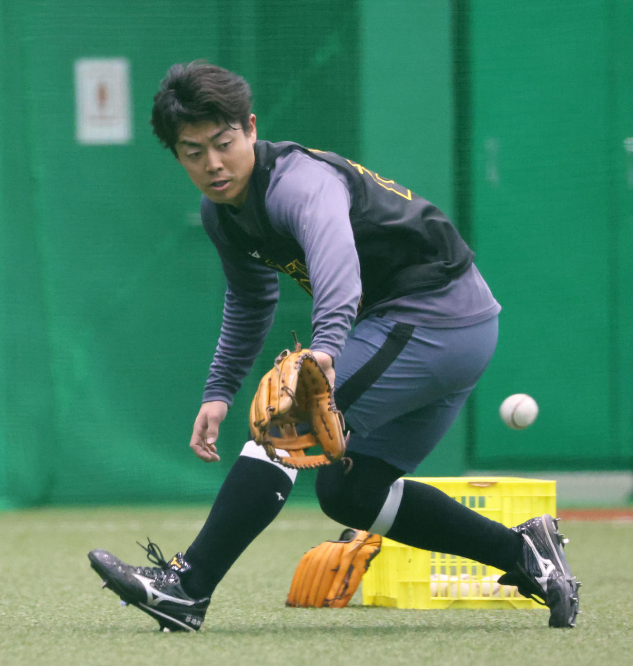 新人合同自主トレでノックを受ける阪神谷端（撮影・西尾就之）
