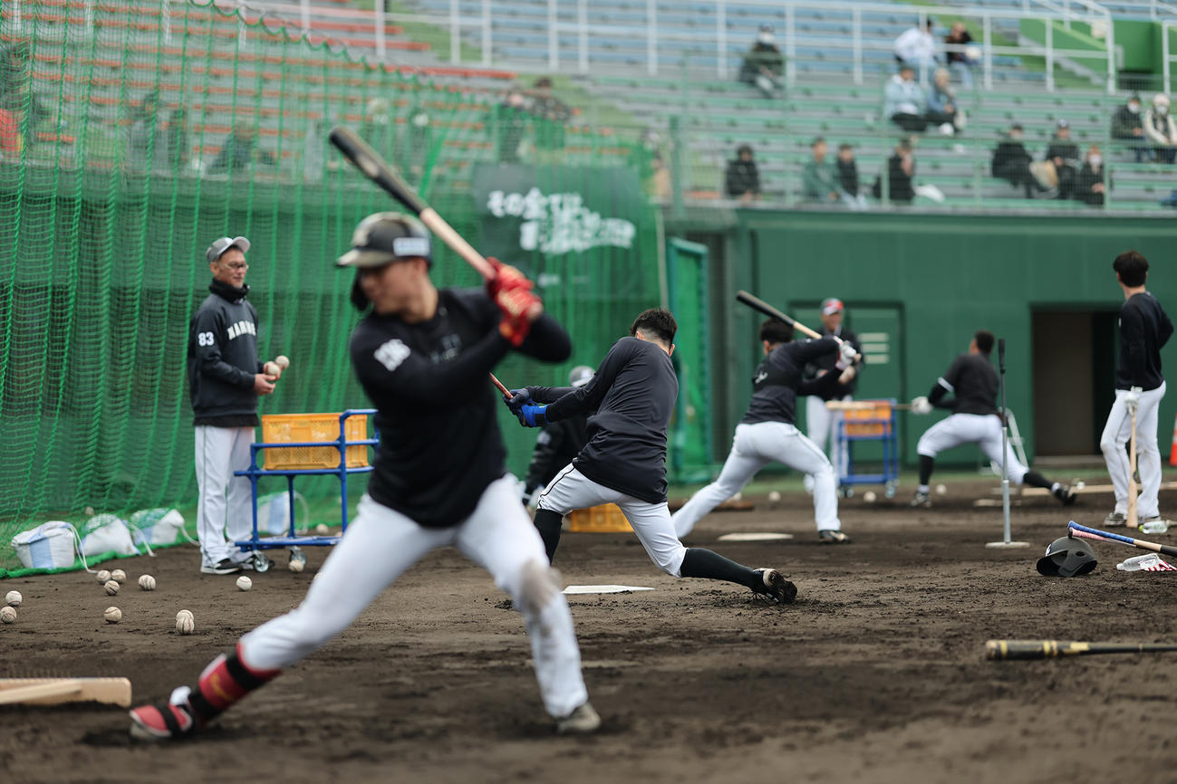 ロッテ春季キャンプを「日テレNEWS24」「DAZN」などで生中継する（球団提供）