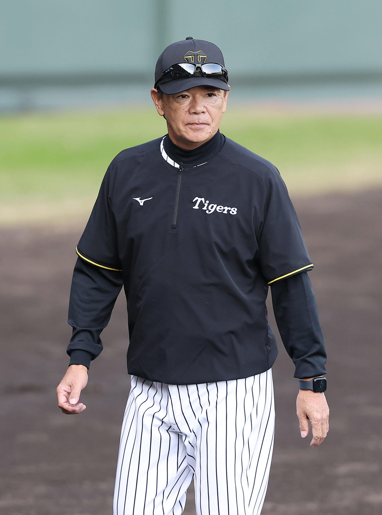 阪神和田豊ヘッドコーチ（2025年11月撮影）